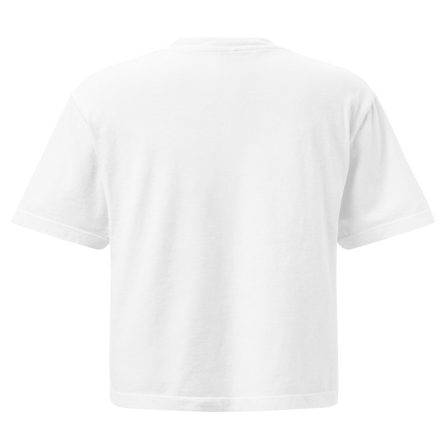 Plain white t-shirt on a light gray background