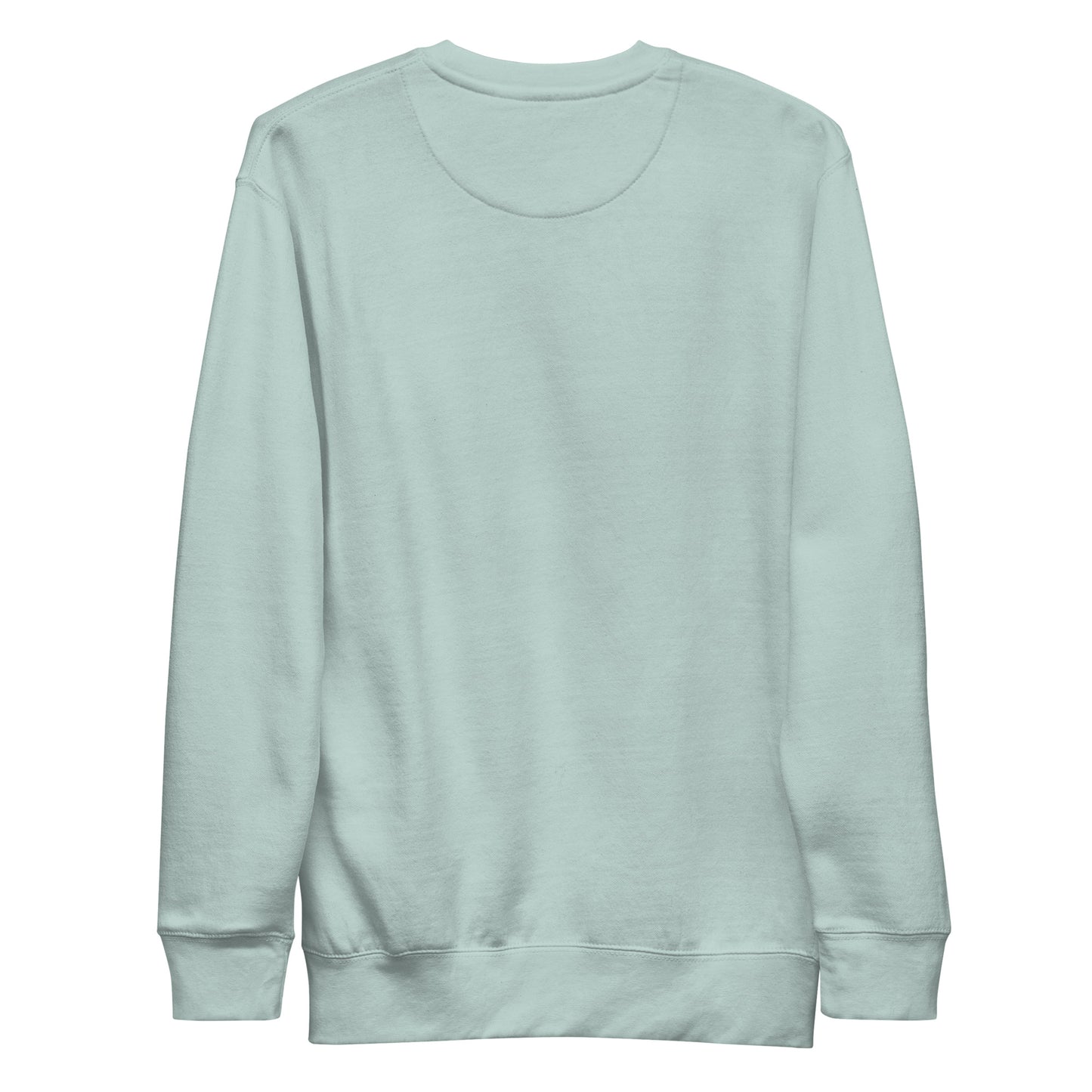 blank back side of a light blue sweatshirt on a white background